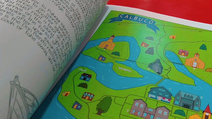 Actualización Punto de Lectura en Cesfam Calbuco